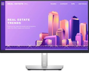 Monitor DELL P2425HE